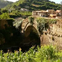 Puente medieval de Corias