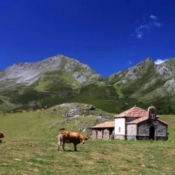 Majada