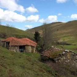 Venta