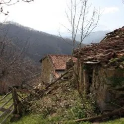 Muriellos