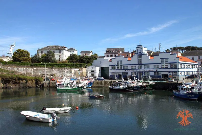 Puerto de Vega