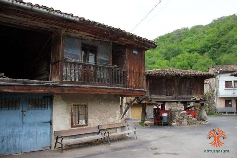 Ribota