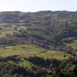 Ferrera