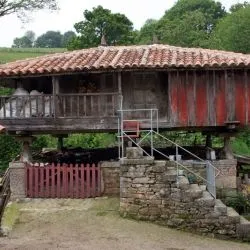 Rubiano XV 17