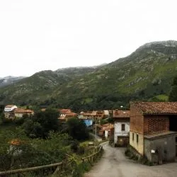 El