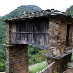 Esquíos