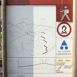 Ruta
