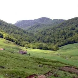 Ventaniella