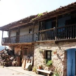 Acebo