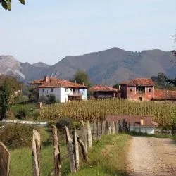 La Roza 1