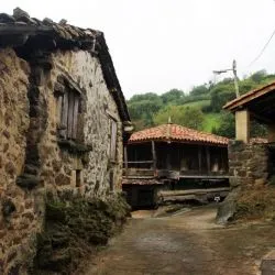 Muriellos