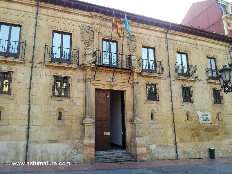 Palacio de Toreno de Oviedo