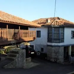 Panicera