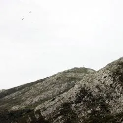 Pico
