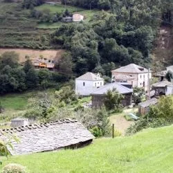 Vivedro
