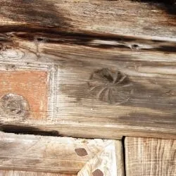 Santolaya de Cabranes XXVI 28