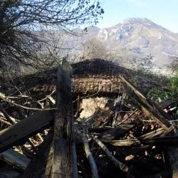 Alceo los Caballeros VI 8