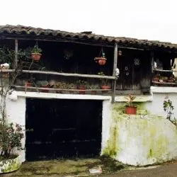 El Carmen 1