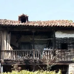 Láneo