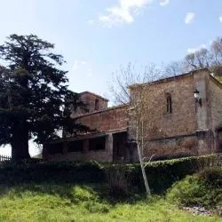 Arangas