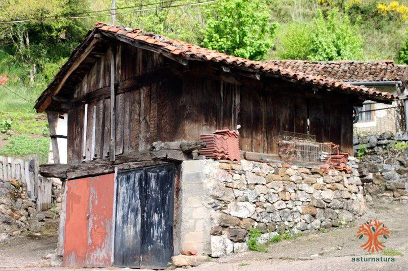 Telledo