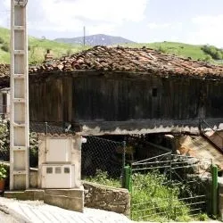Pajares 4
