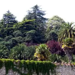Jardín de los Ocharan