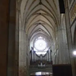 Catedral de Bilbao XI