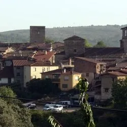 San Martín del Castañar 1