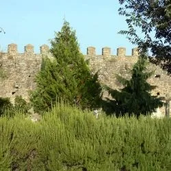Castillo VI 34