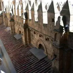 Catedral vieja de Salamanca XX