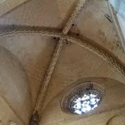 Catedral vieja de Salamanca XL