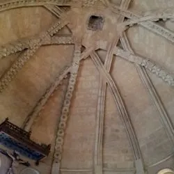 Catedral vieja de Salamanca LX 60