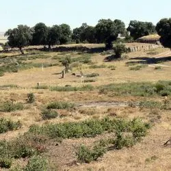 Necrópolis   Túmulos funerarios