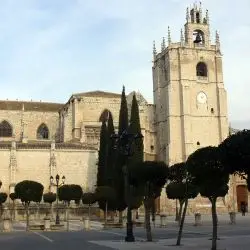 Catedral de San Antolin de PalenciaI