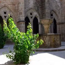 Catedral vieja de Plasencia