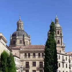 Catedral de Salamanca XXXVI