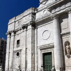 Catedral de Valladolid VI