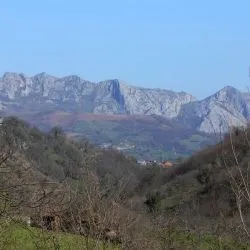 Pico