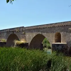 Puente Mayor de Toro VI