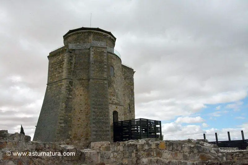 Castillo de los Duques de Alba de Tormes