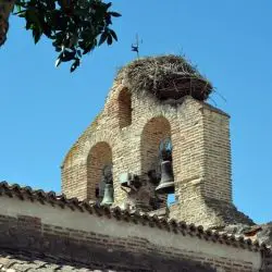 Iglesia de Coca de Alba VI