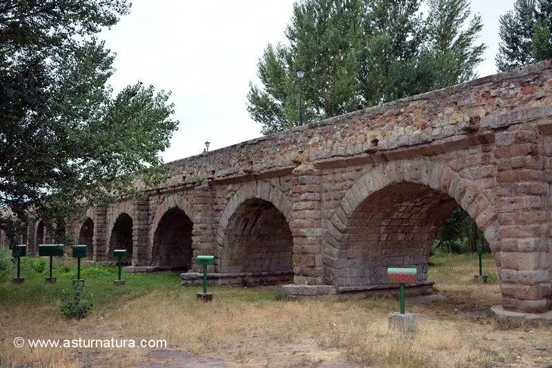 Puente romano sobre el Río Tormes de Salamanca