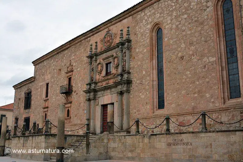 Colegio de los Irlandeses o del Arzobispo Fonseca de Salamanca
