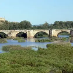 Puente MayorI