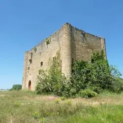 Torre de BonifazI