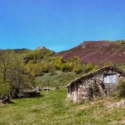 Majada