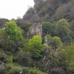 Castillo de AlbaX
