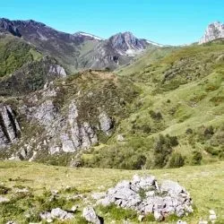 Majada
