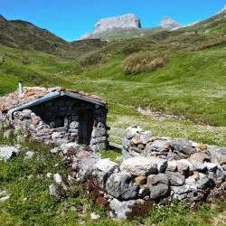 Majada